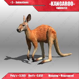 Kangaroo Animated